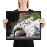 Tableau de Tigre Blanc Dormant