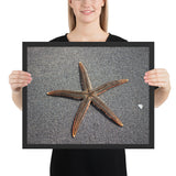 Tableau Etoile de Mer orange