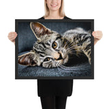 Tableau photo chat allongé