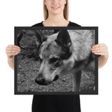 Tableau Deco Loup Focus