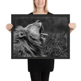 Tableau Lion Noir et Blanc (Moderne)