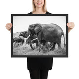 Tableau Eléphant en Noir et Blanc Géant