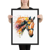 Tableau Chevaux Cheval Couleur