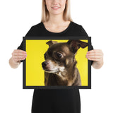 Tableau Animaux Chihuahua