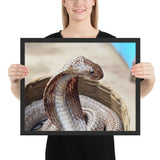 Tableau Cobra Sauvage