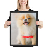 Tableau Chiot Spitz Moderne