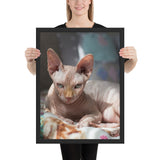 Tableau Chat Tigre Sphynx