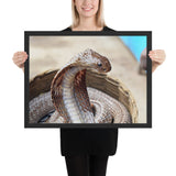 Tableau Cobra Pur