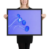 Tableau de Méduse (Petites Cousines Bleues)