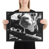 Tableau Vache Noir et Blanc Grand Format