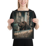 Tableau Ours Montagne Finlandaise