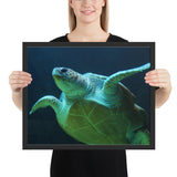 Tableau Tortue en Mer