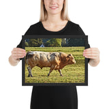 Tableau Animaux Taureau Bodybuildé