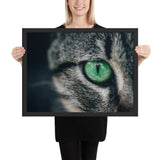 Tableau tête de chat focus