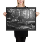 Tableau Elephant Bebe Noir et Blanc dans la fôret