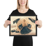 Tableau Chiot Carlin aux Gros Yeux