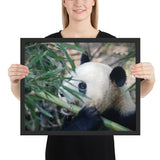 Tableau Moderne Panda Enfant