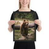 Tableau Grizzly Animaux