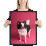 Tableau Chihuahua Moderne