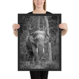Tableau Déco Eléphant en Noir et Blanc