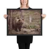 Tableau Ours Montagne Chassant