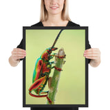 Tableau Scarabée Bleu et Orange