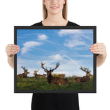 Tableau  Cerf se reposant