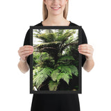 Tableau jungle fougères moderne et design