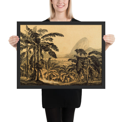 Tableau jungle ancien jaunit