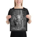Tableau Animaux Eléphant en Noir et Blanc
