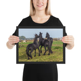 Tableau Chevaux en Réunion