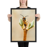 Tableau Abeille qui butine