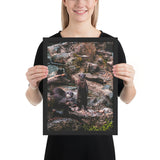 Tableau Loutre Moment Détente