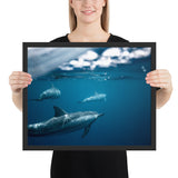 Tableau  Dauphin et ses Petits Bébés