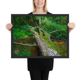 Tableau tropical arbre tombé