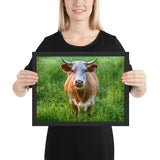 Tableau Animaux Vache Aubrac