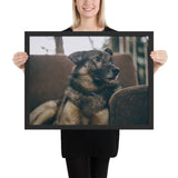 Tableau Berger Allemand (Fatigué)