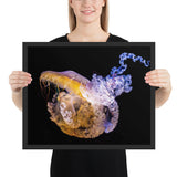 Tableau de Méduse XXL