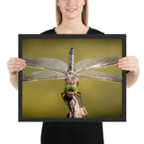 Tableau Insecte sur une Branche