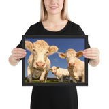Tableau avec des Vaches en Groupe