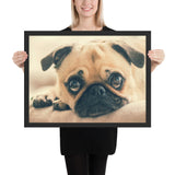 Tableau Chiot Carlin Timide