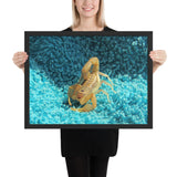 Tableau Scorpion Translucide