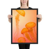 Tableau de Méduse Oranger