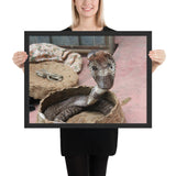 Tableau Cobra de Foire