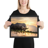 Tableau Animaux Camargue Taureau