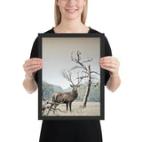 Tableau Animaux Caribou