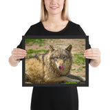 Tableau Loup photo