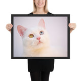 Tableau Chat Coloré Yeux Bleus