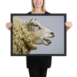 Tableau de Mouton Blanc qui Bêle