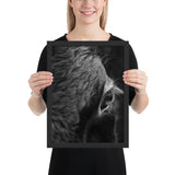 Tableau Animaux de Vache Moderne (le Regard)